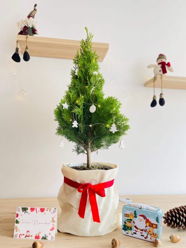 mini árbol de Navidad natural de 85 cm mini arbolito navidad para regalar
