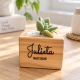 Detalle ecológico con suculenta en base de madera