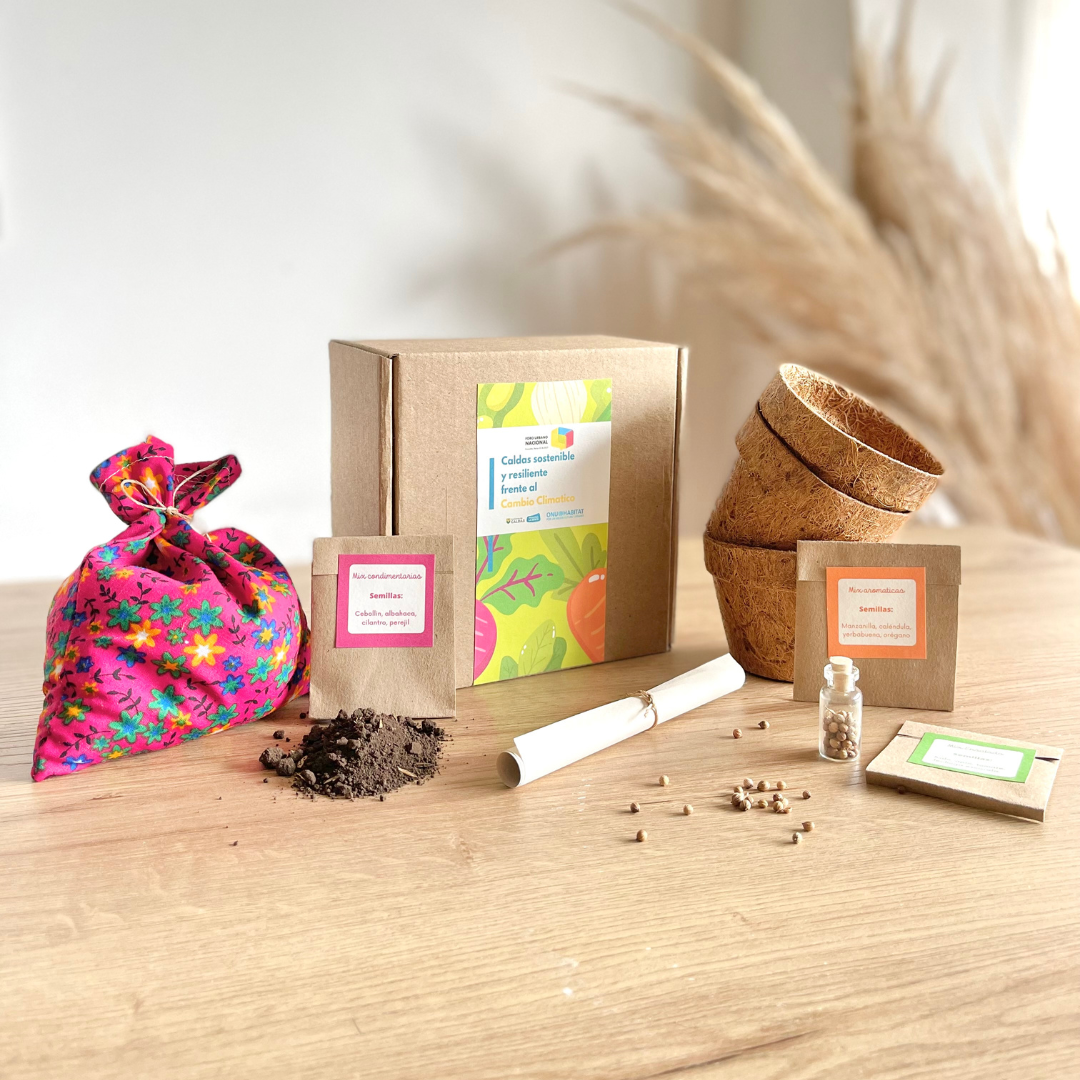 Kit siembra ecologico empresas